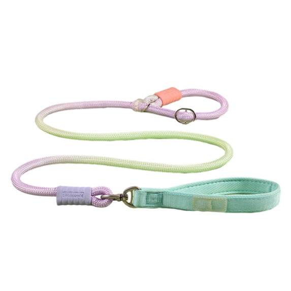 bestolf Slip Lead Dog Leash 5Ft Rope Leash No Pull Pet Training Lead Slip Leash for Large Medium Dogs (Green L)