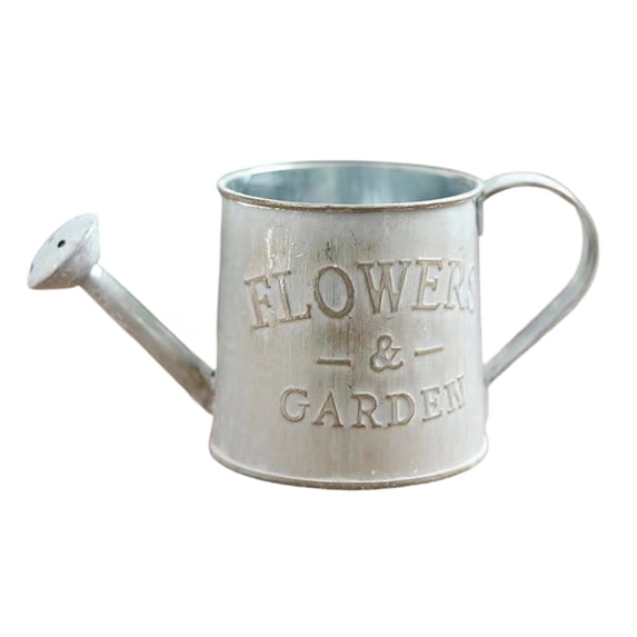 bestolf Vintage Metal Watering Can Distressed Watering Can with Long Spout Small Watering Pot for Indoor Gardening