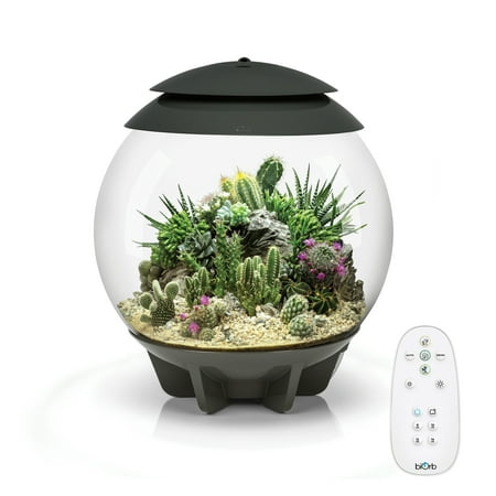 biOrb AIR 30 Terrarium - Grey, Acrylic
