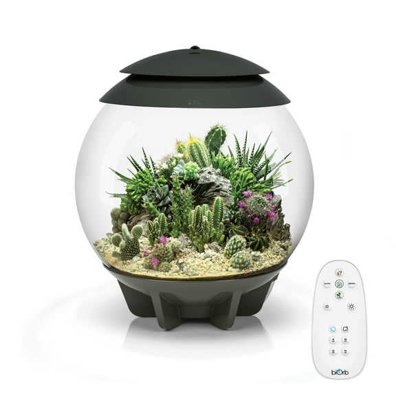 biOrb AIR 30 Terrarium - Grey, Acrylic