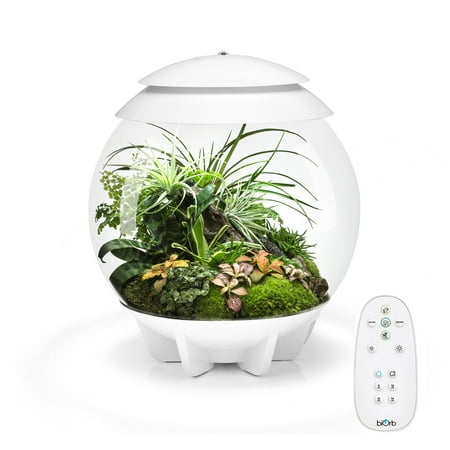 biOrb AIR 30 Terrarium - White, Acrylic