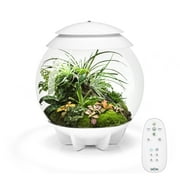 biOrb AIR 30 Terrarium - White, Acrylic