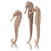 biOrb Aquarium D cor Seahorse مجموعة من 3 - سيراميك، طبيعي