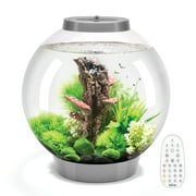 biOrb CLASSIC 30 Aquarium with MCR Light - 8 Gallon, Silver