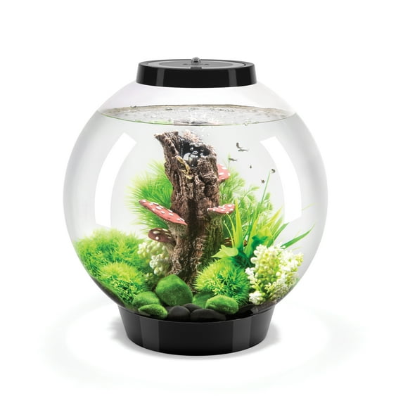 biOrb CLASSIC 30 Aquarium with MCR Light - 8 gallon, black