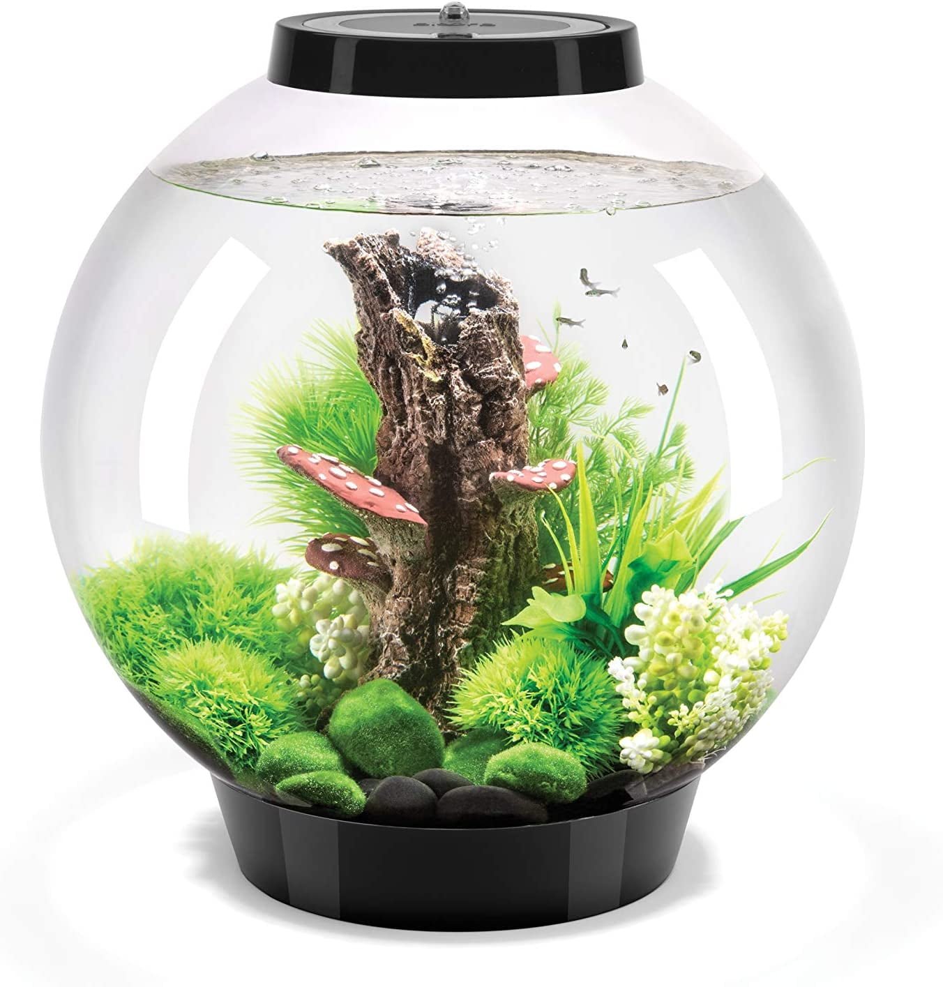 biOrb CLASSIC 30 Aquarium with Standard Light - 8 Gallon, Black