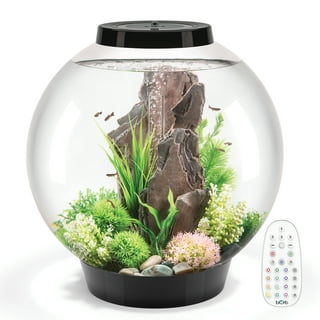 LAQUAL 2 Gallon Glass Fish Bowl with Decor, Include Fluorescent