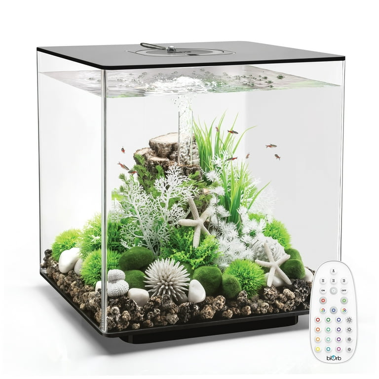 Black Light Aquarium Decorations Shelly Lighting