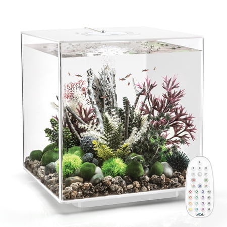 biOrb CUBE 60 Aquarium with MCR Light - 16 gallon, white