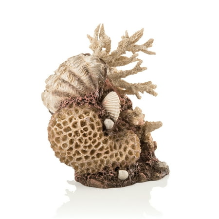 biOrb Coral-Shells Sculpture Aquarium Ornament - Resin, Large, Natural