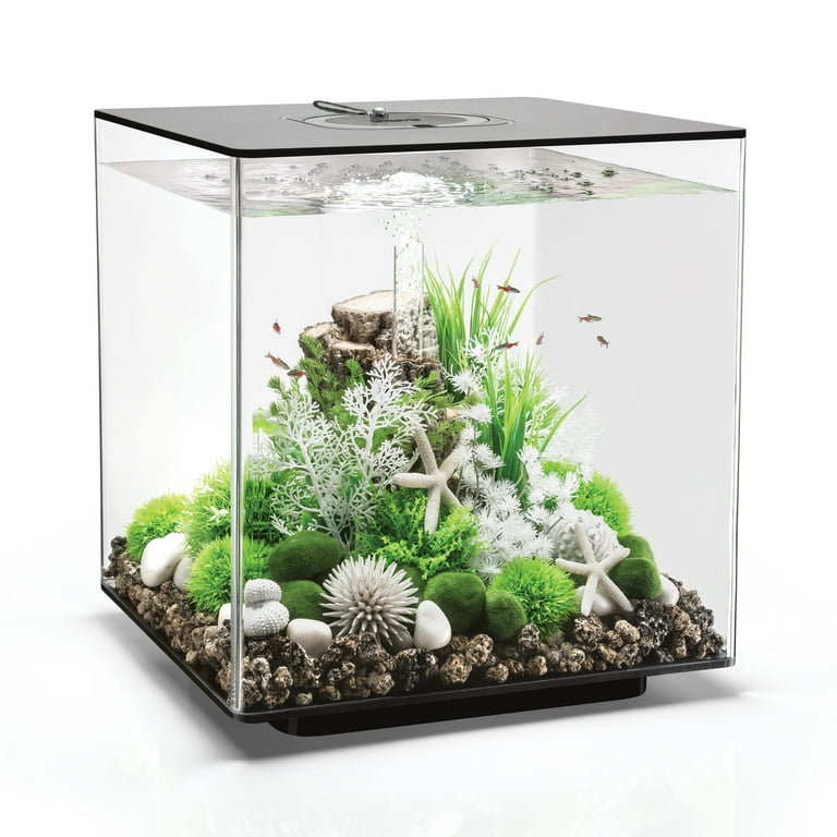 biOrb Cube 60 Aquarium with MCR Light, 16 Gallon, Black - Walmart.com