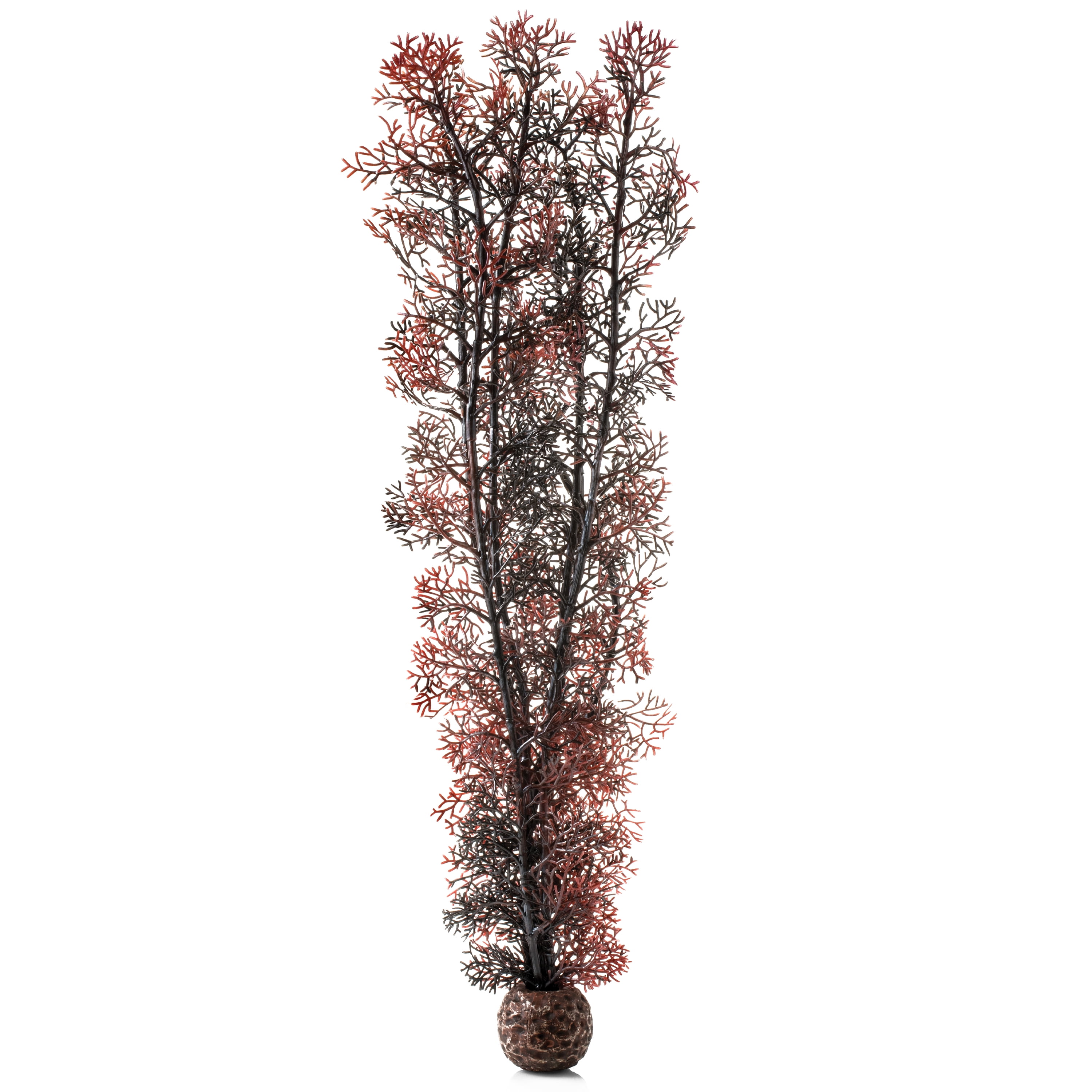 biOrb Extra Large Crimson Sea Fan - Aquarium Plant Decoration