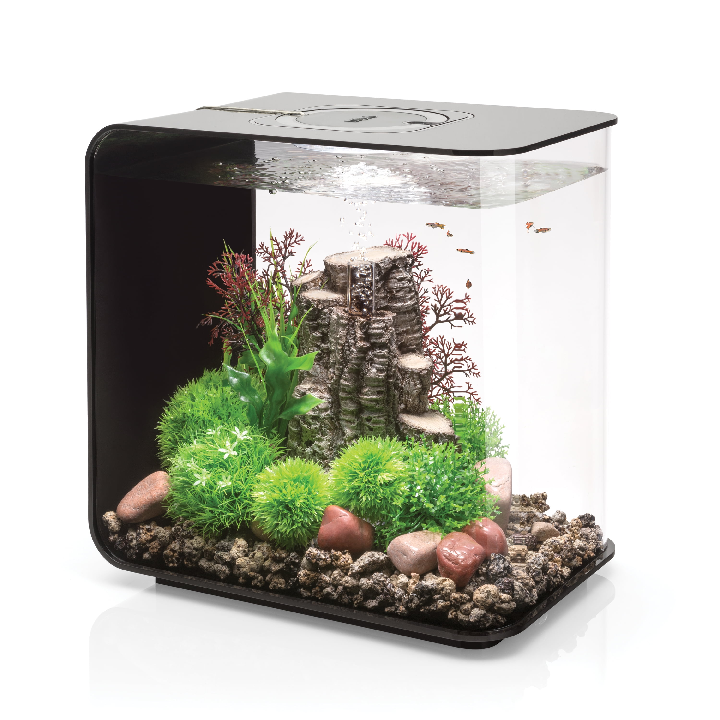 Black Acrylic 8-Gallon Rectangle Aquarium with Stand