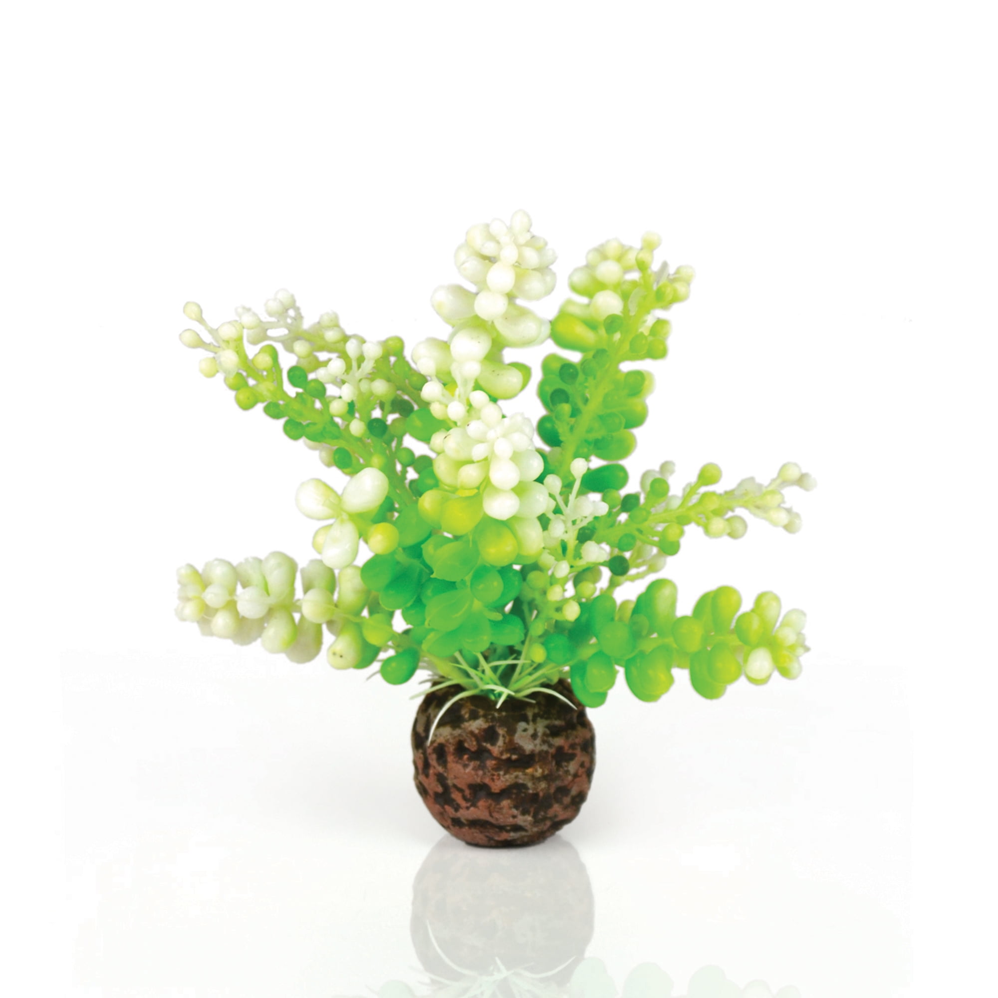Green Artificial Caulerpa Aquarium Plant with Ceramic Base