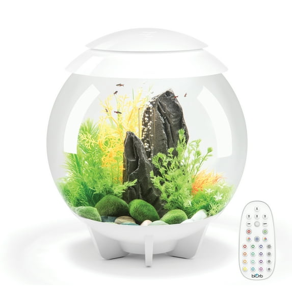 biOrb Halo 30 Aquarium with MCR Light - 8 Gallon, White, Acrylic