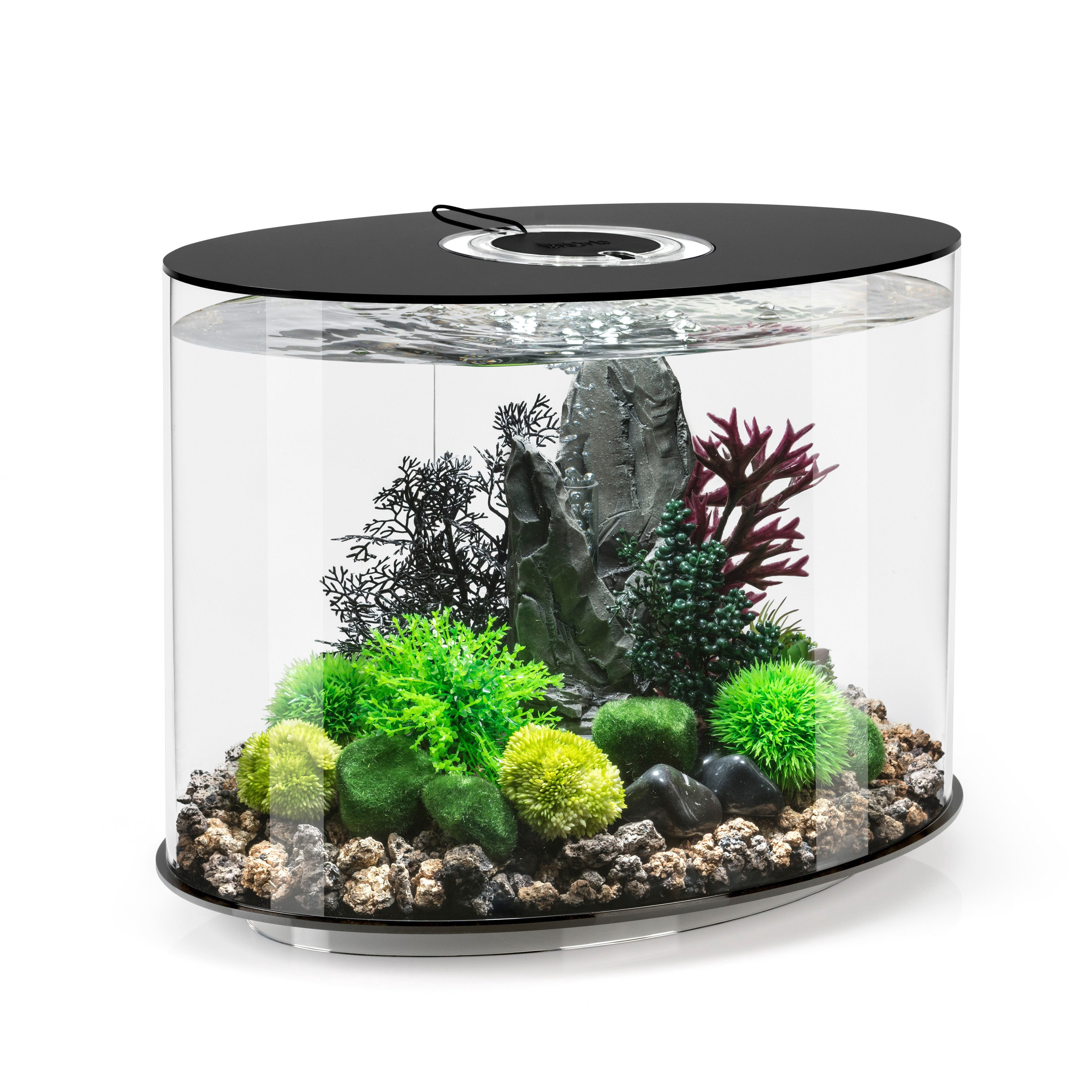 biOrb-LOOP-30-Aquarium-with-