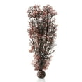 thumbnail image 1 of biOrb Large Crimson Sea Fan - Aquarium Plant Decoration, 1 of 8