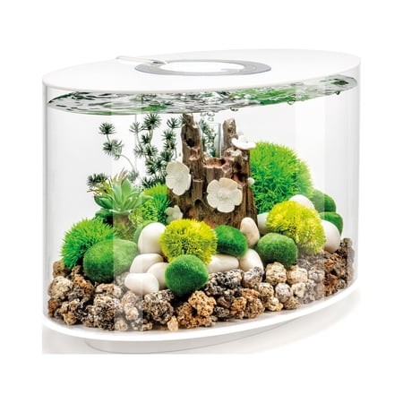 biOrb Loop 15 Aquarium with Standard Light - 4 Gallon, White, Acrylic