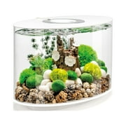 biOrb Loop 15 Aquarium with Standard Light - 4 Gallon, White, Acrylic