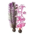 thumbnail image 1 of biOrb Medium Pink Kelp Aquarium Plant Set, 1 of 6