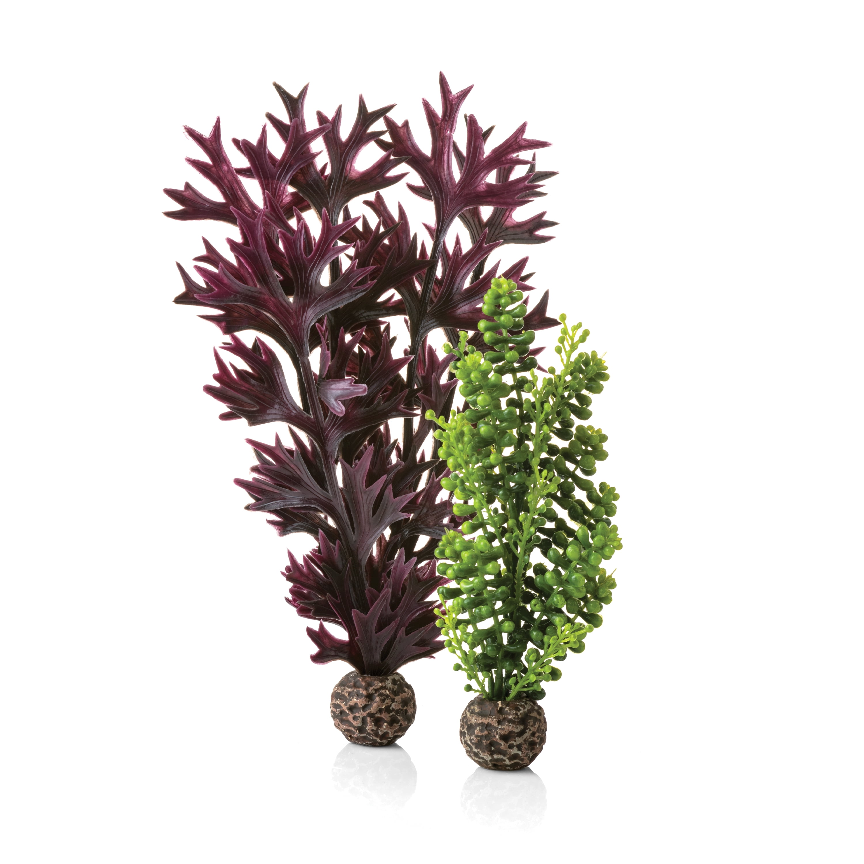 biOrb Medium Sea Pearls & Kelp Plant Set - Aquarium Plant Decoration