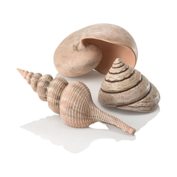 biOrb Natural Seashell Set - Aquarium Decor