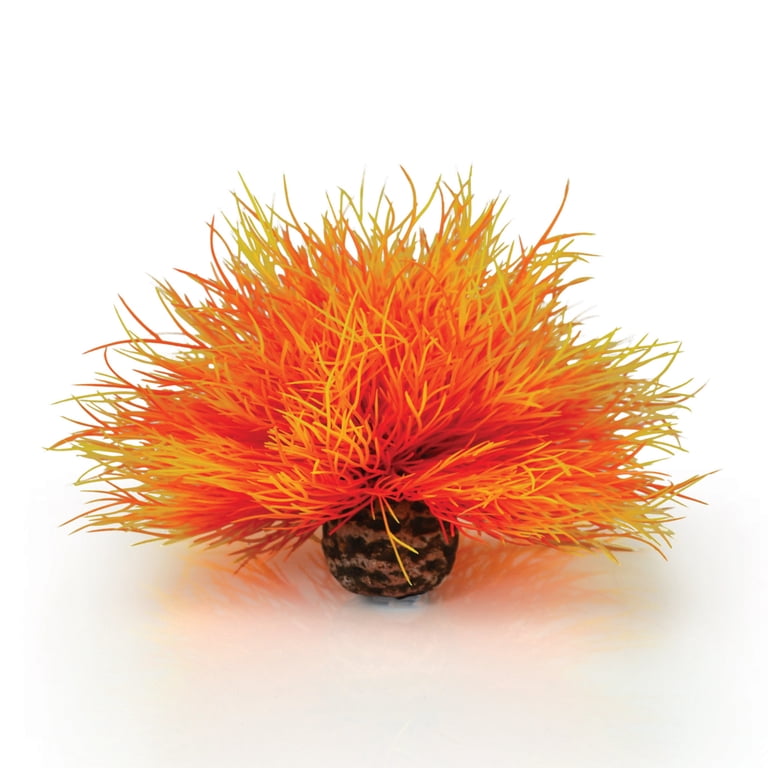 biOrb Orange Sea Lily - Aquarium Plant Decoration - Walmart.com