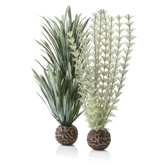 biOrb Small Ambulia Plant Set - Aquarium Plant Decoration