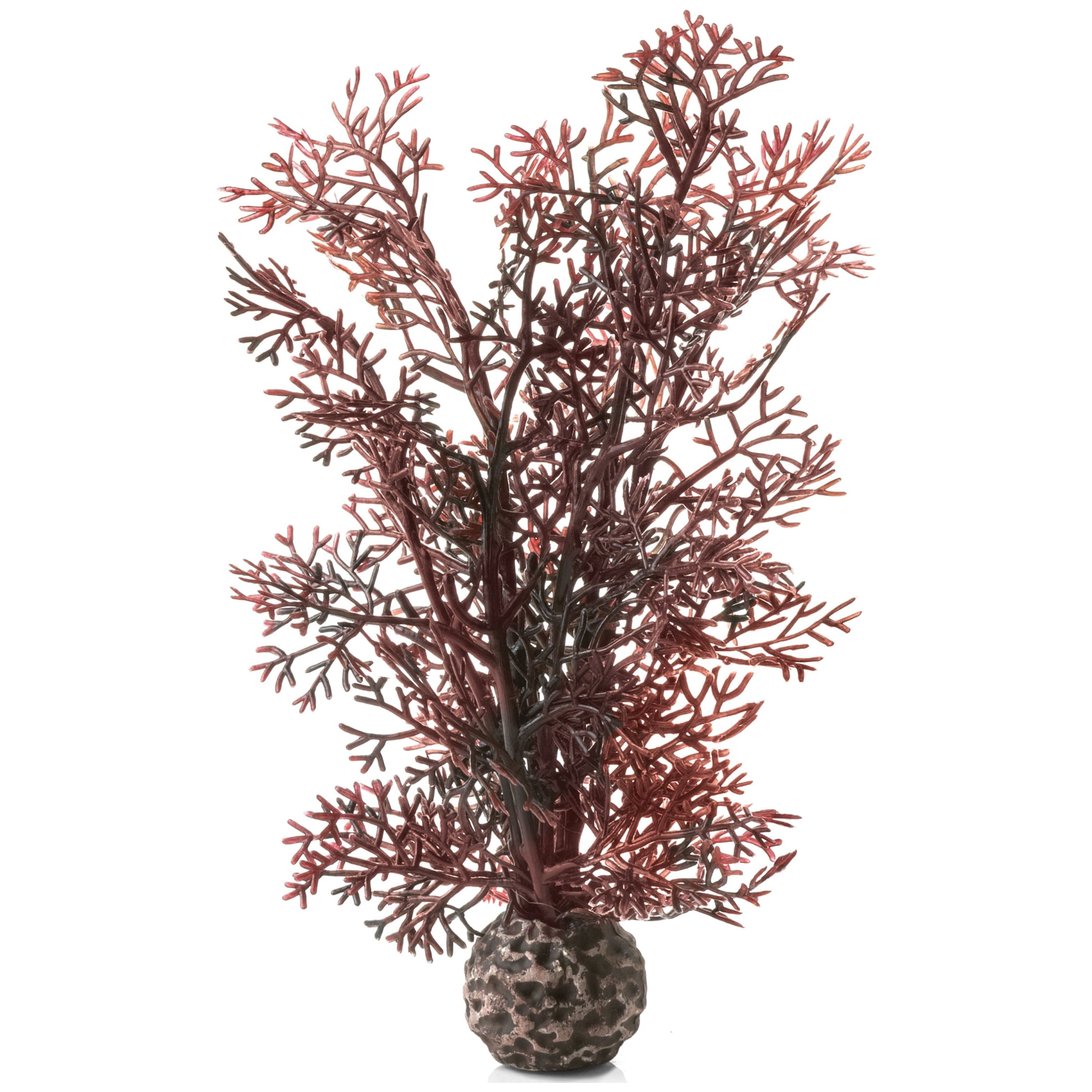 biOrb Small Crimson Sea Fan - Aquarium Plant Decoration