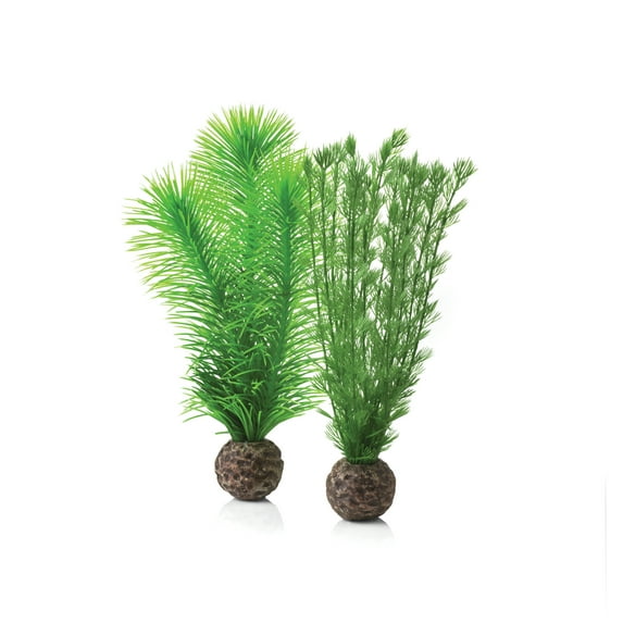biOrb Small Green Feather Fern Set - Aquarium Plant Decoration