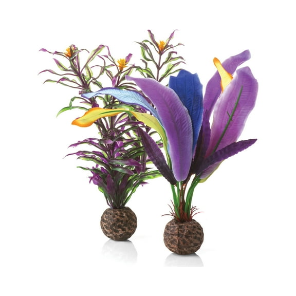 biOrb Small Parrot Feathers Plant Set - Purple Aquarium Plant Decoration