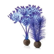biOrb Small Purple Kelp Plant Set