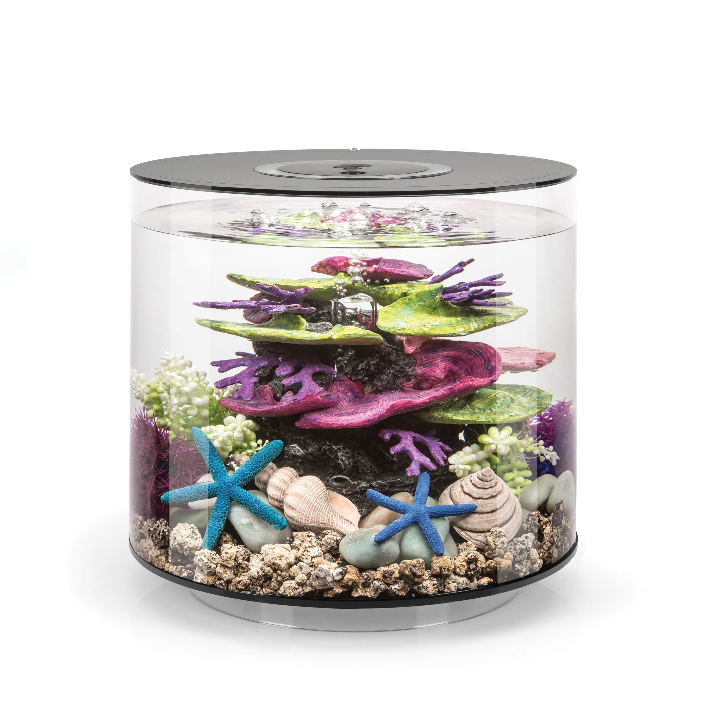 biOrb TUBE 15 Aquarium with Standard Light - 4 gallon, black