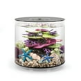thumbnail image 1 of biOrb TUBE 15 Aquarium with Standard Light - 4 gallon, black, 1 of 9