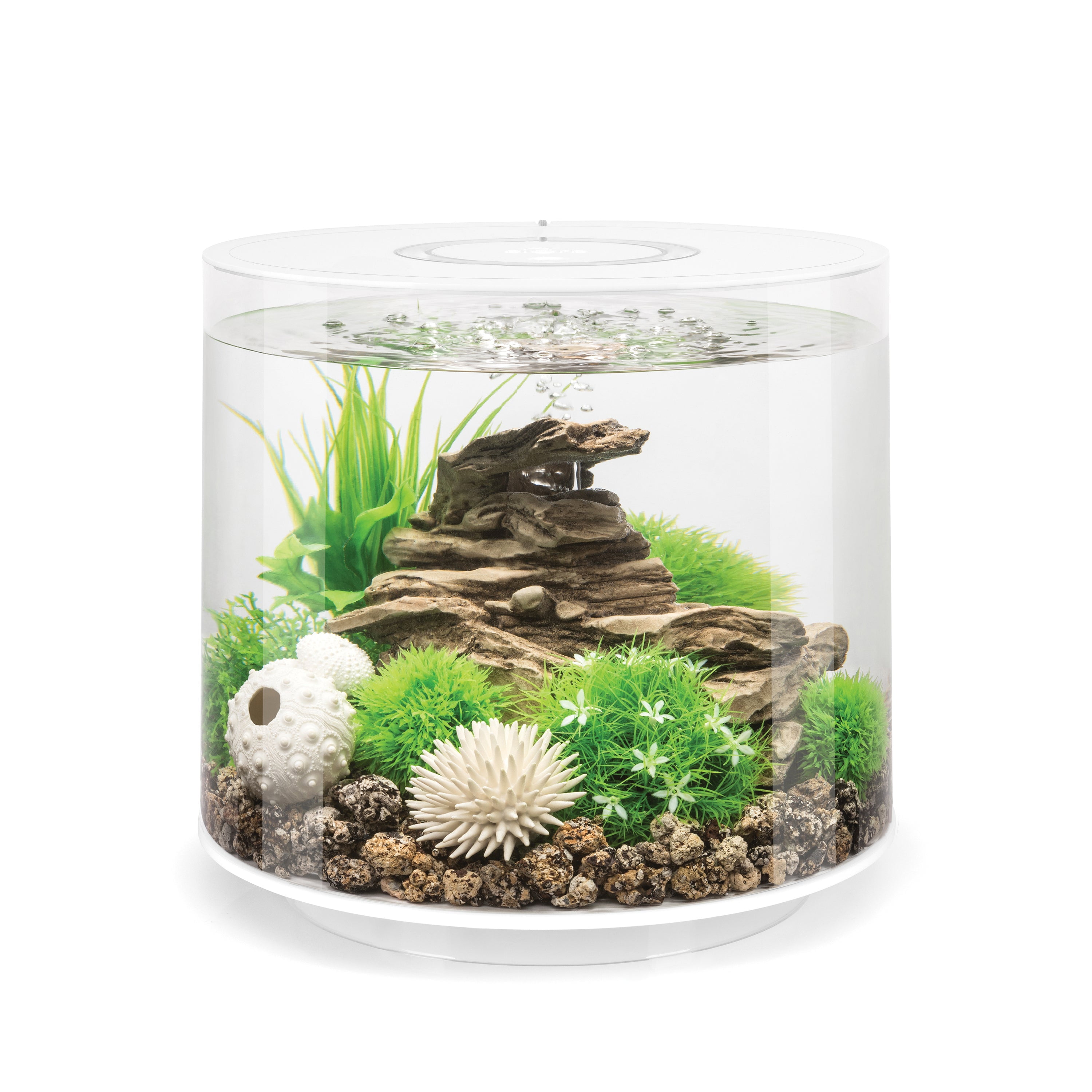 biOrb TUBE 15 Aquarium with Standard Light - 4 gallon, white