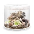 thumbnail image 1 of biOrb TUBE 35 Aquarium with Standard Light - 9.2 gallon, white, 1 of 8