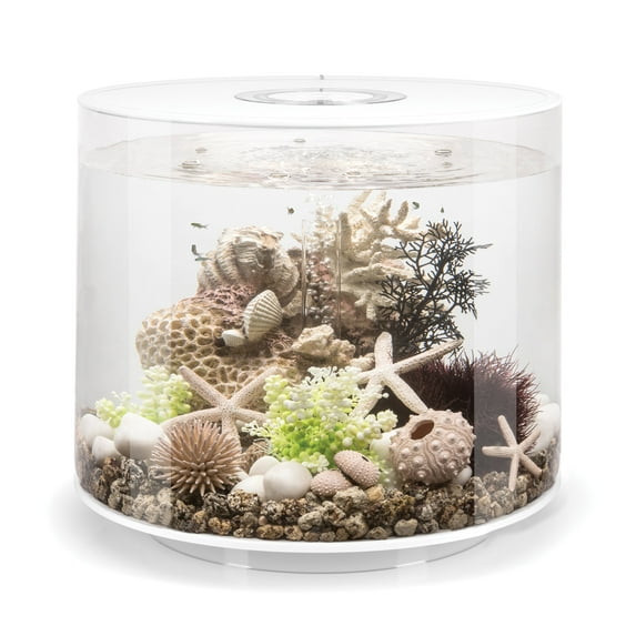 biOrb TUBE 35 Aquarium with Standard Light - 9.2 gallon, white