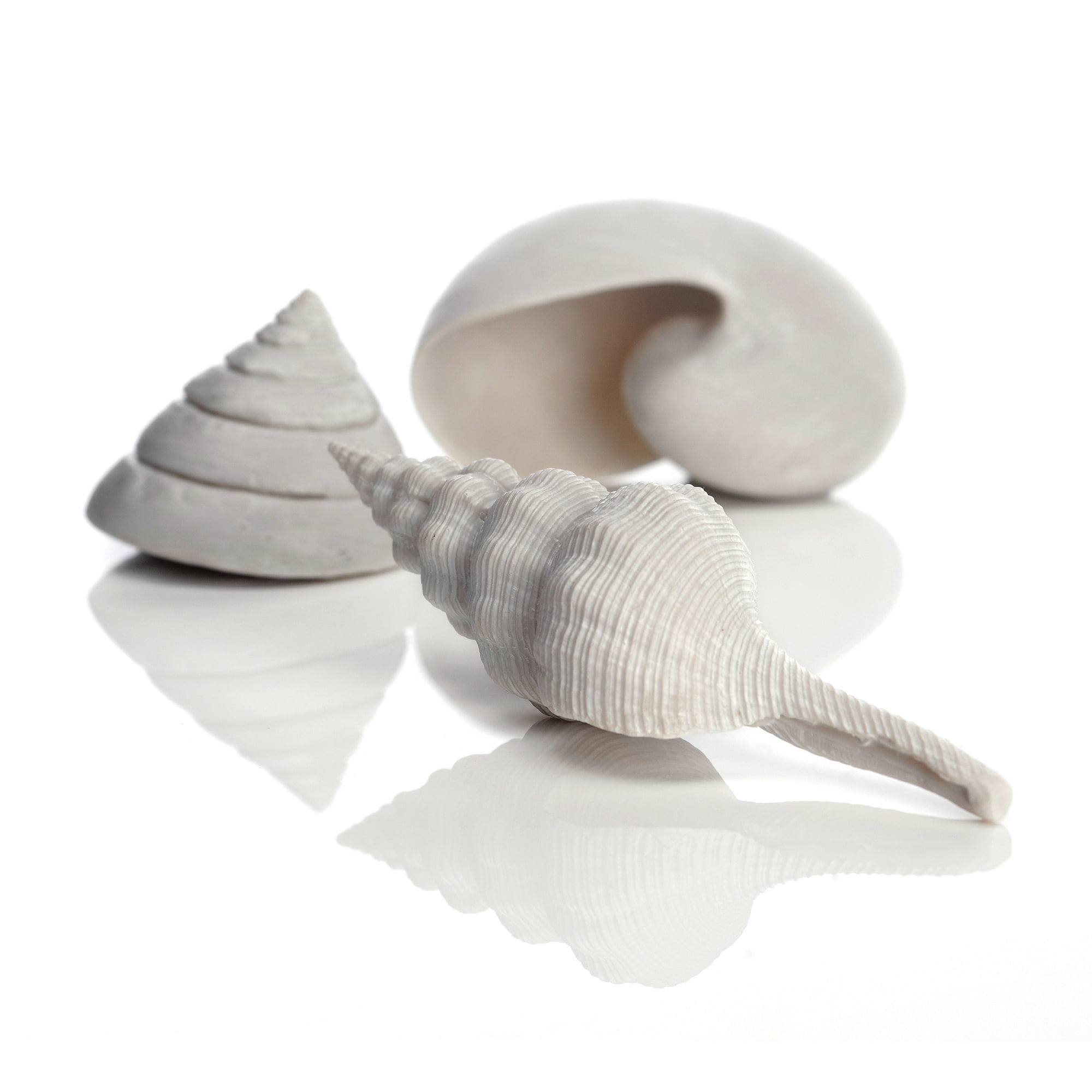 biOrb White Seashell Set - Small Aquarium Decor