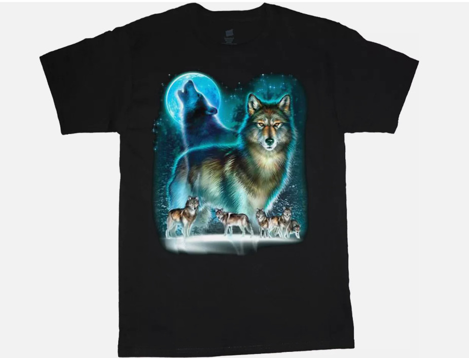 T-shirt Canada Wolves Bleu - Taille L - Occasion Très Bon État - Graphique Décontracté