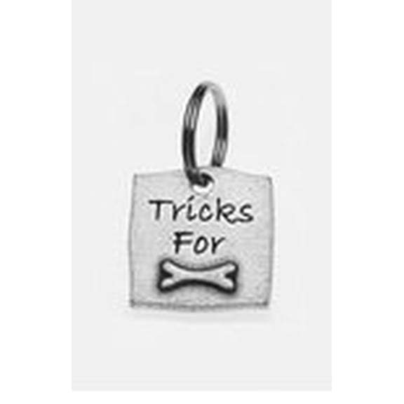 Big Paw Dog Cat Collar Charm - Tricks for Bones