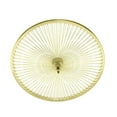 thumbnail image 1 of bike 26 STEEL FREEWHEEL 144 SPOKE 14GUCP 3/8 AXLE SINGLE WALL GOLD., 1 of 1
