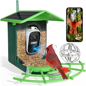 BN-LINK Bird Feeder with Camera,Smart Bird Feeder, 2K HD AI Identify Birds Species, Outdoor Bird Feeder with 3W Solar Panel, 1.5L Capacity,Green