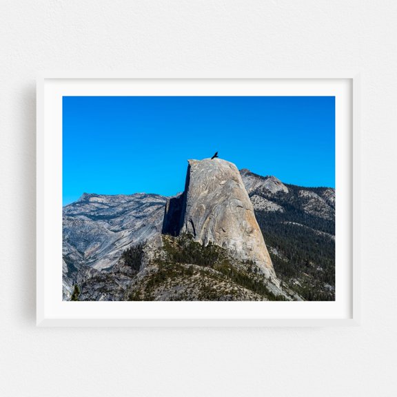 A bird soars past the iconic granite Half Dome while sun shines - California Photography Mountain Landscape Nature Scenic Wilderness Bird White Framed Wall Art Print 12 x 16 inches
