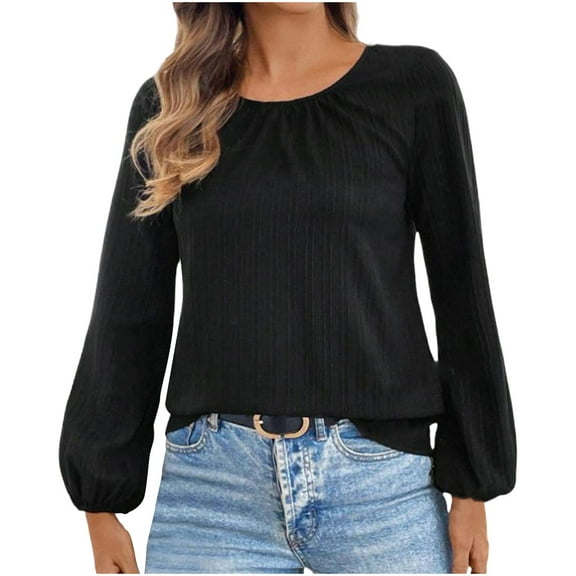 biudgviw Cute Tops for Women Crew Neck Lantern Long Sleeve Trendy Shirts Loose Fit Solid Color Casual Tunic Blouses for Work