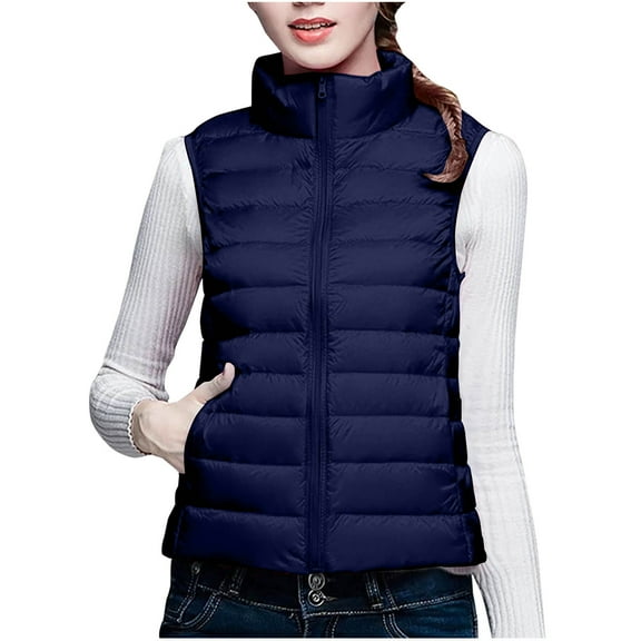 biudgviw Puffer Vest for Women Full Zip Sleeveless Quilted Padded Jackets Stand Collar Fall Winter down Outerwear Coat