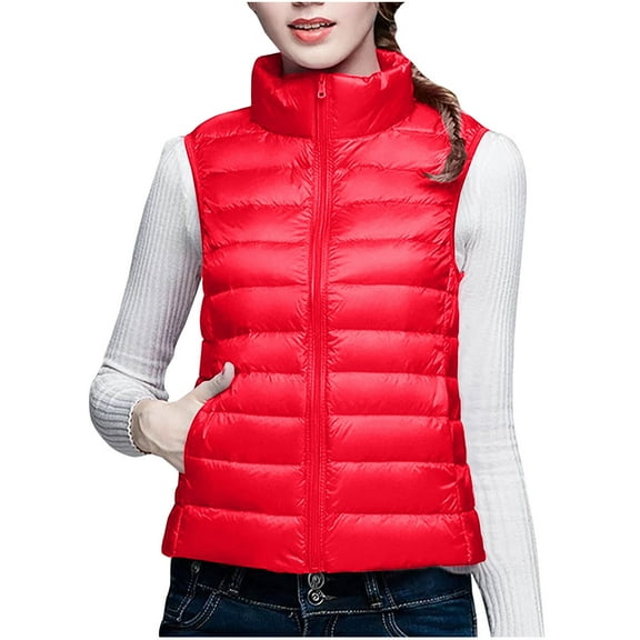 biudgviw Puffer Vest for Women Full Zip Sleeveless Quilted Padded Jackets Stand Collar Fall Winter down Outerwear Coat