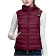 thumbnail image 1 of biudgviw Puffer Vest for Women Full Zip Sleeveless Quilted Padded Jackets Stand Collar Fall Winter down Outerwear Coat, 1 of 3