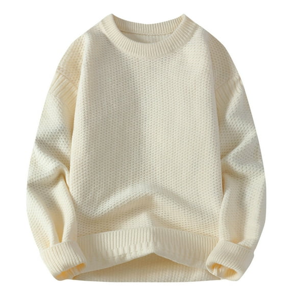 biudgviw Sweaters for Men Casual Loose Crewneck Long Sleeve Pullover Tops Fall Winter Warm Thicked Solid Color Oversized Sweaters