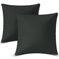 thumbnail image 1 of 18"x18" Throw Pillow Inserts, Set of 2 Square Pillows Premium Down Alternative Pillow Inserts Decorative Pillow Stuffer for Sofa, Couch, Black, 1 of 7
