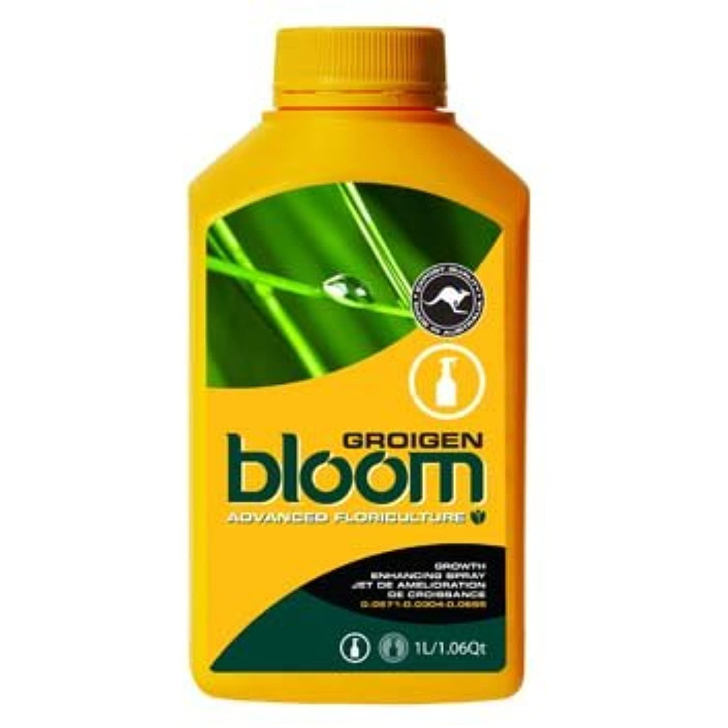 bloom GROIGEN